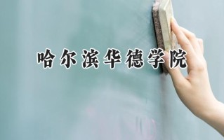2024哈尔滨华德学院录取分数线：山西最低378分