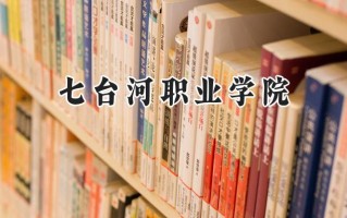 2024七台河职业学院录取分数线：宁夏最低290分