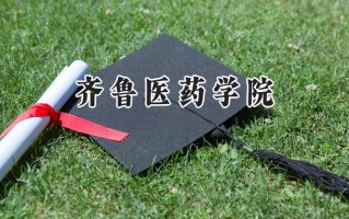 2024齐鲁医药学院录取分数线：江苏最低481分