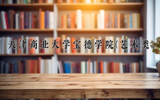 2024年天津商业大学宝德学院(艺术类)录取分数线，河北最低450分