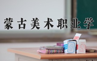 2024年内蒙古美术职业学院录取分数线，河北最低291分