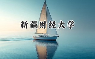 2024新疆财经大学录取分数线：宁夏最低415分