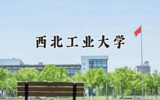 西北工业大学2024在新疆录取分数线是多少？最低524分/最高615分
