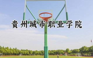 2024贵州城市职业学院录取分数线：河南最低165分
