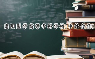 2024南阳医学高等专科学校(中外合作)录取分数线：河南最低196分