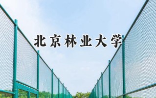北京林业大学2024在内蒙古录取分数线是多少？最低547分/最高598分