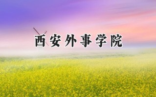 2024西安外事学院录取分数线：陕西最低375分