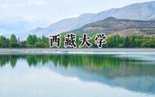 西藏大学2024在山东录取分数线是多少？最低532分/最高574分