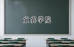 2024宜宾学院录取分数线：江苏最低500分