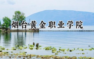 2024烟台黄金职业学院录取分数线：河南最低172分