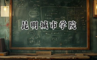2024昆明城市学院录取分数线：山西最低388分
