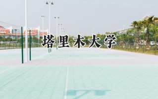 2024塔里木大学录取分数线：天津最低494分