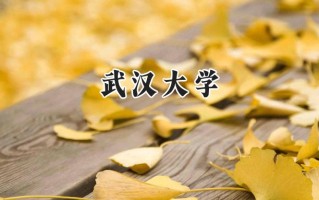 武汉大学2024在新疆录取分数线是多少？最低575分/最高612分