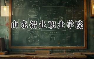 2024山东铝业职业学院录取分数线：河南最低240分