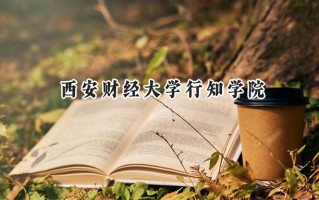 西安财经大学行知学院2024在浙江录取分数线是多少？最低501分/最高545分