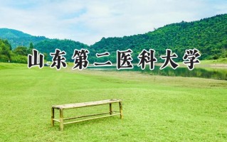 2024山东第二医科大学录取分数线：江苏最低535分