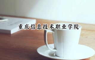 2024重庆信息技术职业学院录取分数线：宁夏最低273分