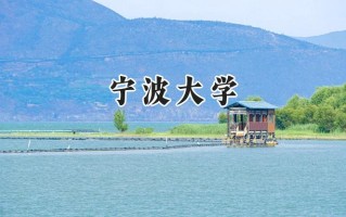 宁波大学2024在新疆录取分数线是多少？最低471分/最高509分