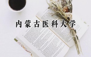 内蒙古医科大学2024在内蒙古录取分数线是多少？最低319分/最高589分