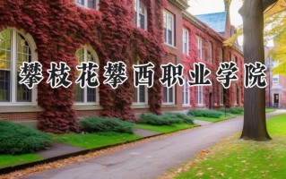 攀枝花攀西职业学院2024在山东录取分数线是多少？最低251分/最高317分