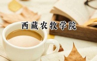 2024西藏农牧学院录取分数线：陕西最低437分