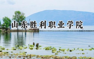 山东胜利职业学院2024在江苏录取分数线是多少？最低291分/最高387分