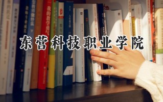 2024东营科技职业学院录取分数线：山西最低231分