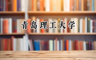 2024青岛理工大学录取分数线：宁夏最低430分