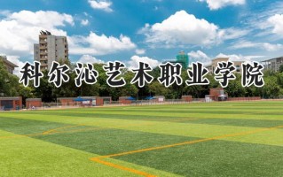 科尔沁艺术职业学院2024在内蒙古录取分数线是多少？最低216分/最高256分