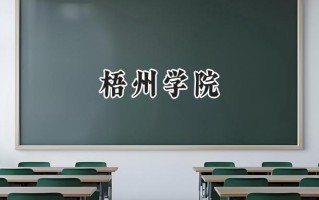 梧州学院2024在青海录取分数线是多少？最低364分/最高428分