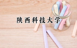 2024陕西科技大学录取分数线：宁夏最低461分
