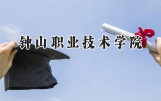 2024钟山职业技术学院录取分数线：江苏最低221分