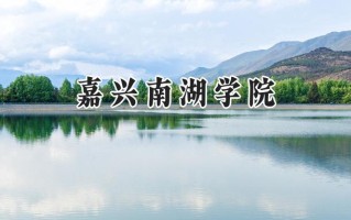 嘉兴南湖学院2024在上海录取分数线是多少？最低438分/最高449分