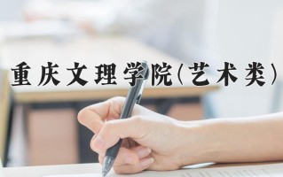 2024年重庆文理学院(艺术类)录取分数线，河北最低478分