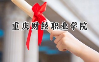 重庆财经职业学院2024在青海录取分数线是多少？最低308分/最高373分