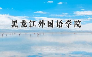 2024黑龙江外国语学院录取分数线：陕西最低394分