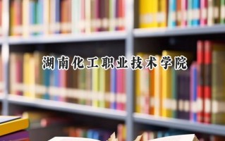 2024湖南化工职业技术学院录取分数线：陕西最低300分