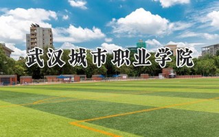 武汉城市职业学院2024在青海录取分数线是多少？最低310分/最高334分