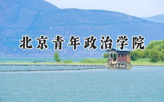 2024北京青年政治学院录取分数线：河南最低395分