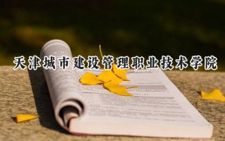 2024天津城市建设管理职业技术学院录取分数线：山西最低320分