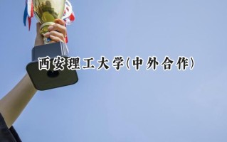 2024西安理工大学(中外合作)录取分数线：河南最低513分