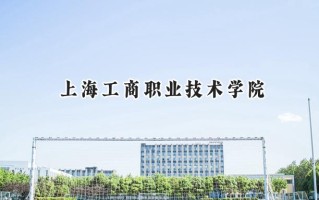 上海工商职业技术学院2024在上海录取分数线是多少？最低113分/最高223分