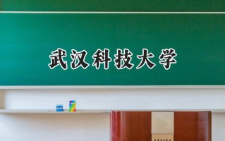 武汉科技大学2024在山东录取分数线是多少？最低538分/最高595分