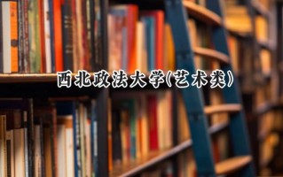 2024西北政法大学(艺术类)录取分数线：陕西最低478分