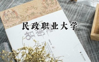 民政职业大学2024在浙江录取分数线是多少？最低525分/最高581分