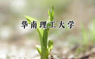 2024华南理工大学录取分数线：江苏最低616分