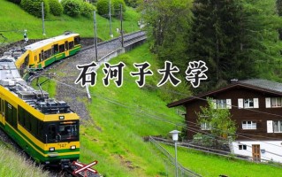 石河子大学2024在新疆录取分数线是多少？最低397分/最高480分