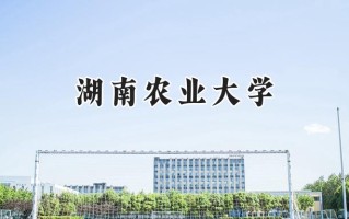 湖南农业大学2024在青海录取分数线是多少？最低374分/最高425分