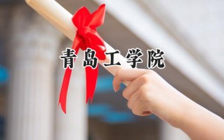 青岛工学院2024在青海录取分数线是多少？最低325分/最高397分