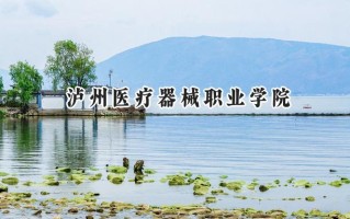 2024泸州医疗器械职业学院录取分数线：江苏最低305分